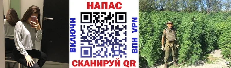 Купить наркотик аптеки Звенигород Cocaine Конопля